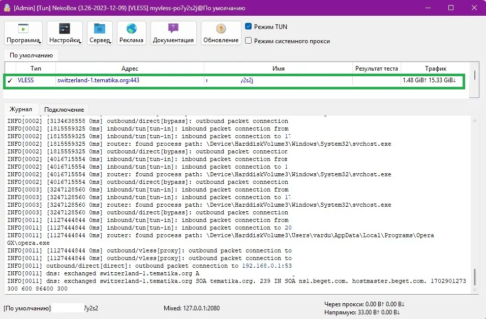 Скриншот успешного подключения в Nekoray